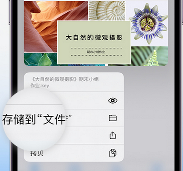 林周apple维修中心分享iPhone文件应用中存储和找到下载文件