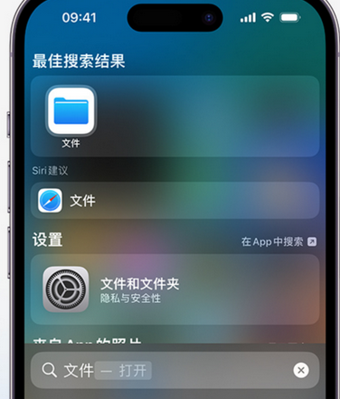 林周apple维修中心分享iPhone文件应用中存储和找到下载文件 