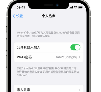 林周apple服务站点分享iPhone上个人热点丢失了怎么办