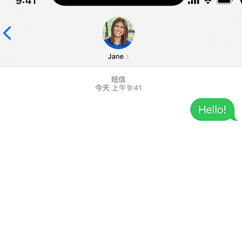 林周apple维修iPhone上无法正常发送iMessage信息