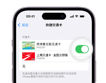 林周apple维修点分享iPhone上更换Apple Pay快捷交通卡手绘卡面 