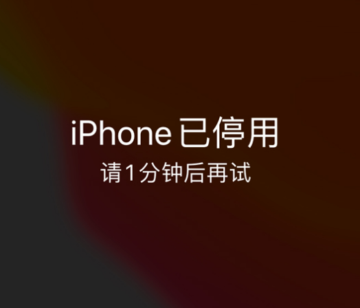 林周苹果手机维修分享:iPhone 显示“不可用”或“已停用”怎么办？还能保留数据吗？ 