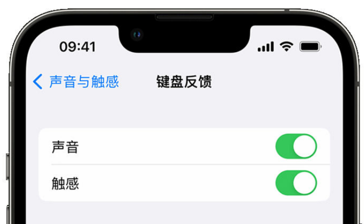 林周苹果手机维修分享iPhone 14触感键盘使用方法 