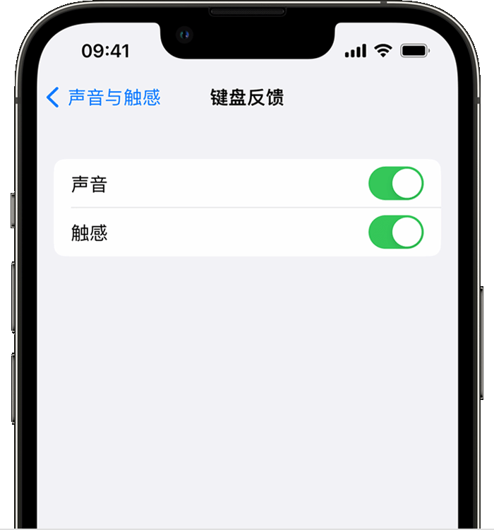 林周苹果14维修店分享如何在 iPhone 14 机型中使用触感键盘 