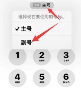 林周苹果14维修店分享iPhone 14 Pro Max使用副卡打电话的方法 