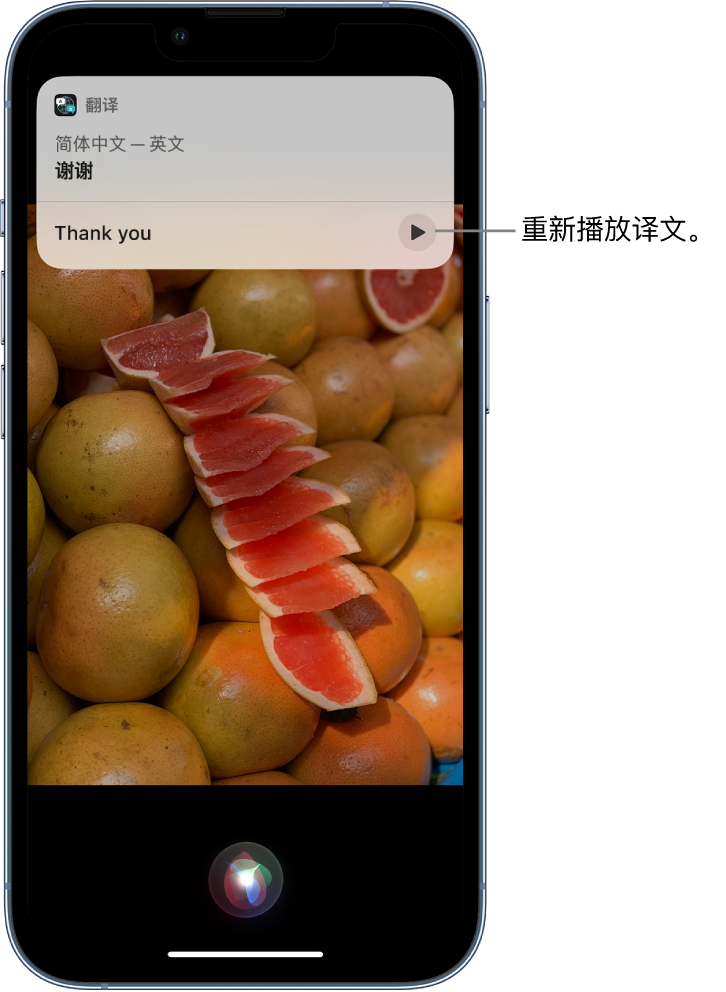 林周苹果14维修分享 iPhone 14 机型中使用 Siri：了解 Siri 能帮你做什么 