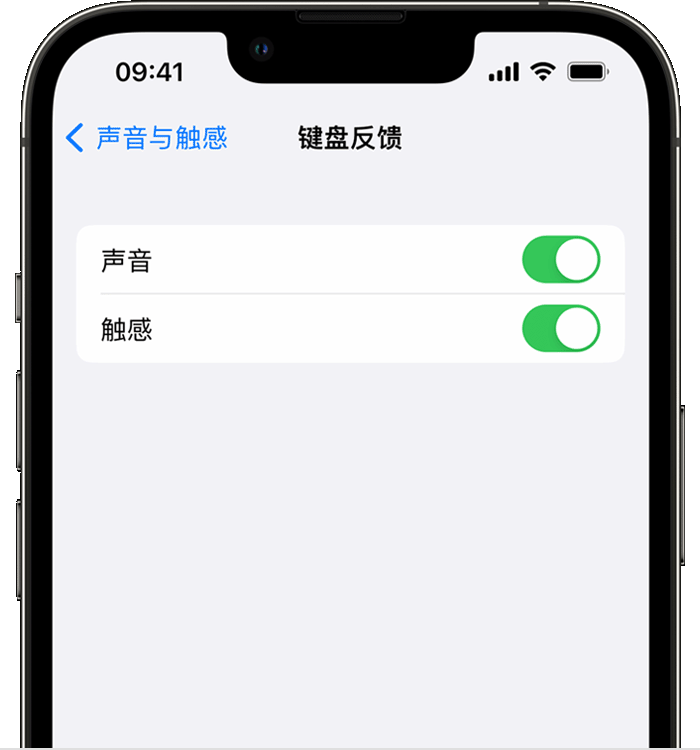 林周苹果14维修分享iPhone 14 系列机型如何开启键盘声音或触感反馈 