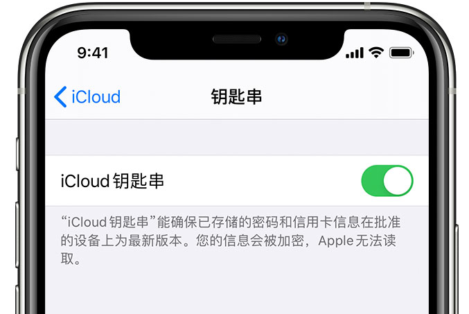 林周苹果手机维修分享在 iPhone 上开启 iCloud 钥匙串之后会储存哪些信息 