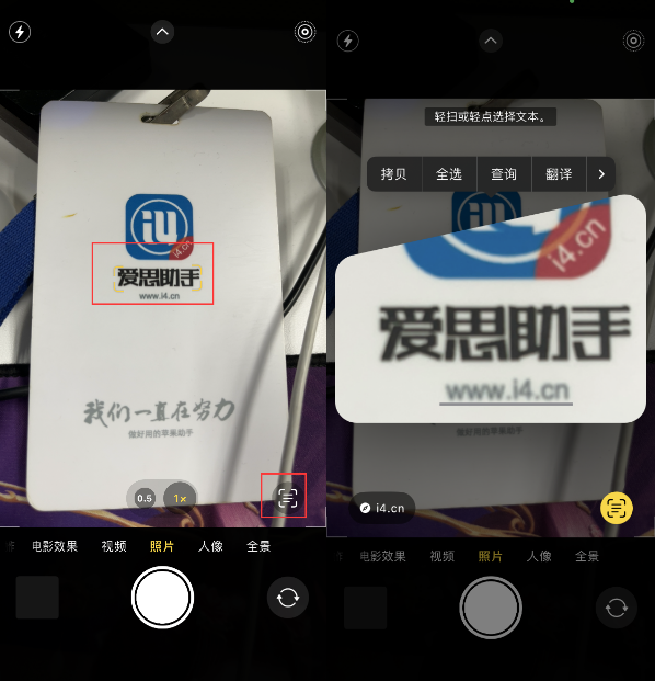 林周苹果手机维修分享升级iOS 16后如何通过相机翻译文本 