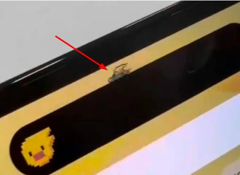 林周苹果14维修分享iPhone 14 Pro Max灵动岛怎么养宠物 