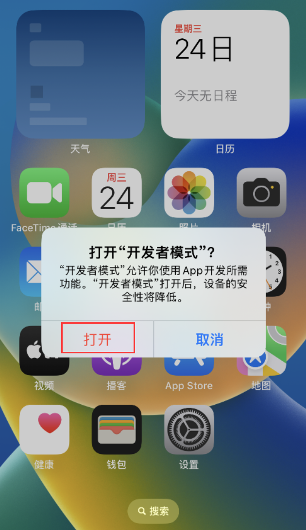林周苹果手机维修分享如何打开开发者模式 