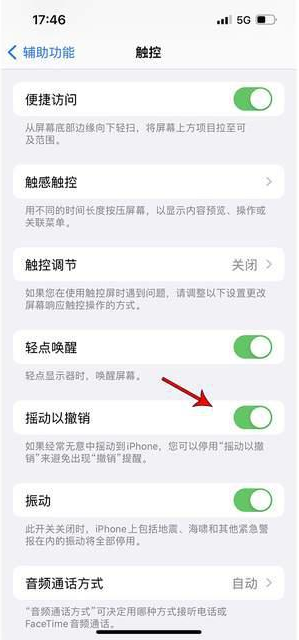 林周苹果手机维修分享iPhone手机如何设置摇一摇删除文字 