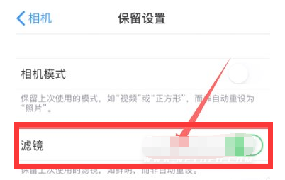 林周苹果13维修分享iPhone13拍照有绿点是怎么回事 