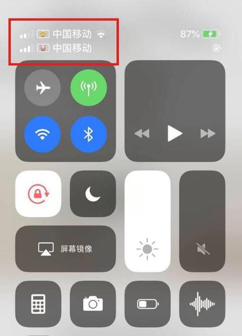 林周苹果手机维修分享为 iPhone 12 双卡设置标签 